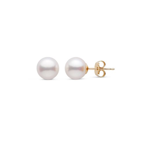 Fresh Water Pearl Stud Earrings in 14K Yellow Gold